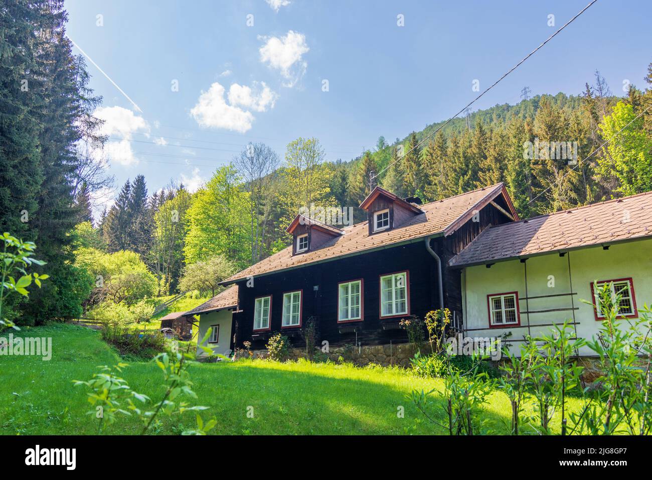 Breitenstein, wooden house in valley Adlitzgraben in the Vienna Alps, Lower Austria, Austria Stock Photo