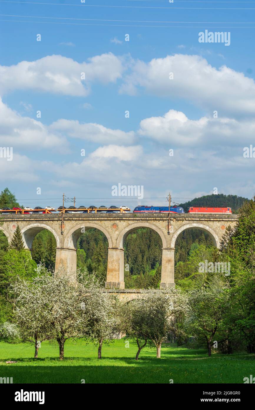 Breitenstein, Semmeringbahn (Semmering Railway), viaduct Kalte-Rinne-Viadukt, blossoming trees, cargo train with cars in the Vienna Alps, Lower Austria, Austria Stock Photo