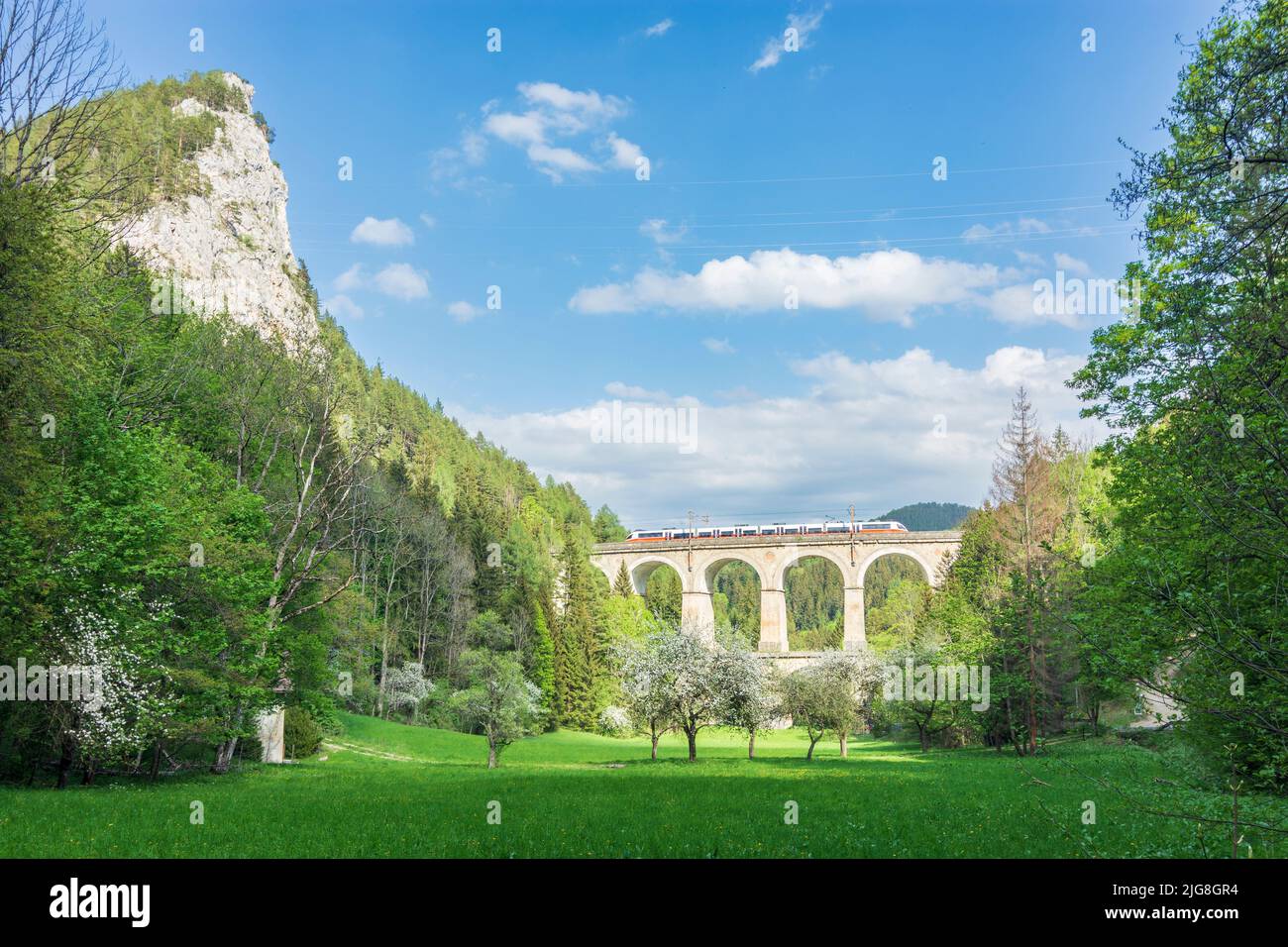 Breitenstein, Semmeringbahn (Semmering Railway), viaduct Kalte-Rinne-Viadukt, local train of ÖBB, rock wall Polleroswand, blossoming trees in the Vienna Alps, Lower Austria, Austria Stock Photo