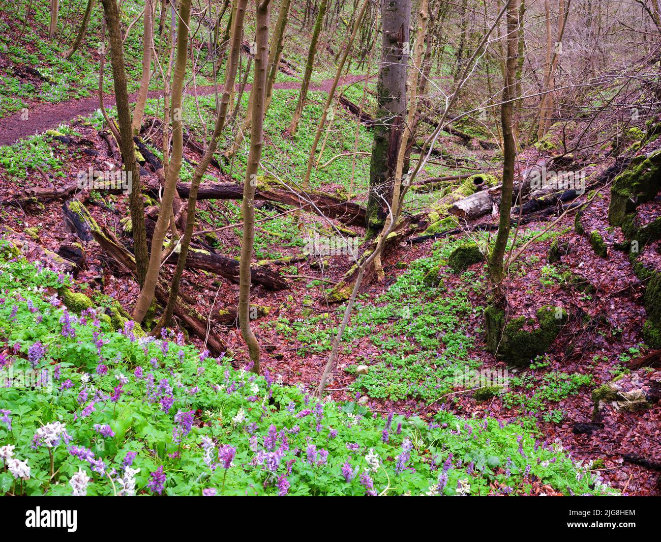 Europe, Germany, Hesse, Westerwald, LahnDillBergland, Geopark