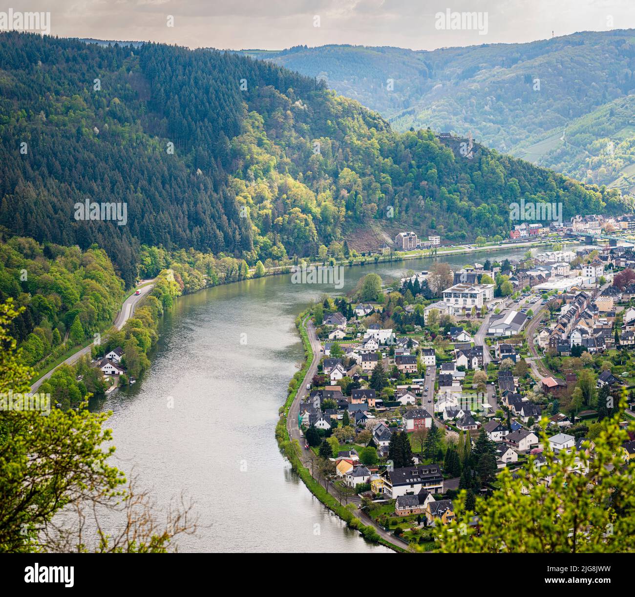 Mosel loop near Traben-Trarbach, Grevenburg castle in the background, view from Starkenburg castle Stock Photo
