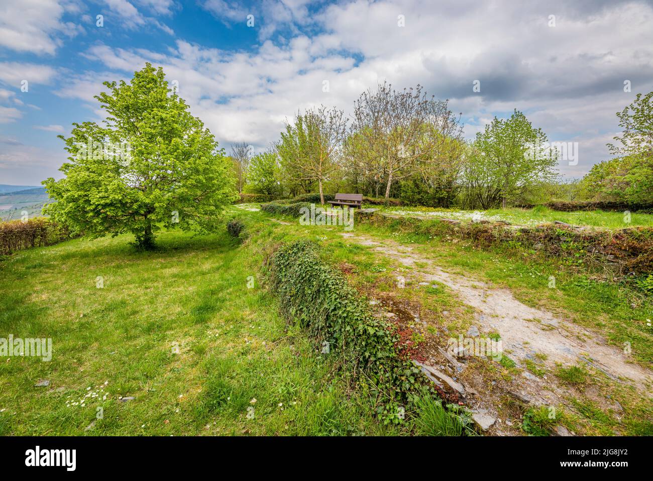Foundation walls on the site of the Starkenburg castle ruins, Stock Photo