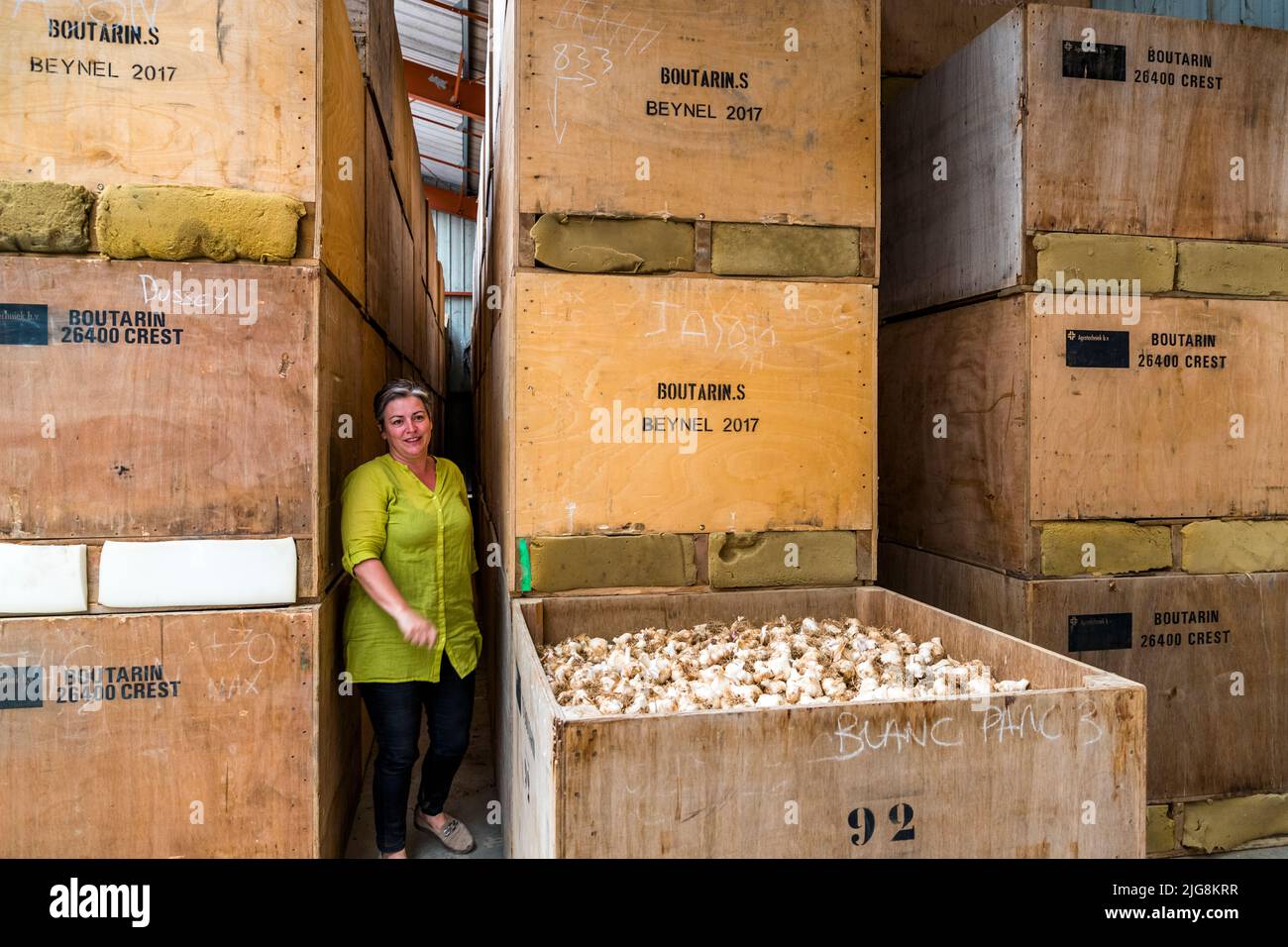 Fanny Boutarin from Maison Boutarin with freshly harvested garlic for the production of Black Garlic , France. Production of Black Garlic in Die, France Stock Photo