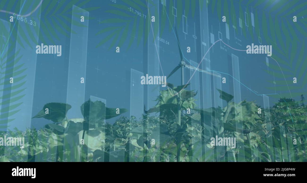 Image of data processing over landscape Stock Photo