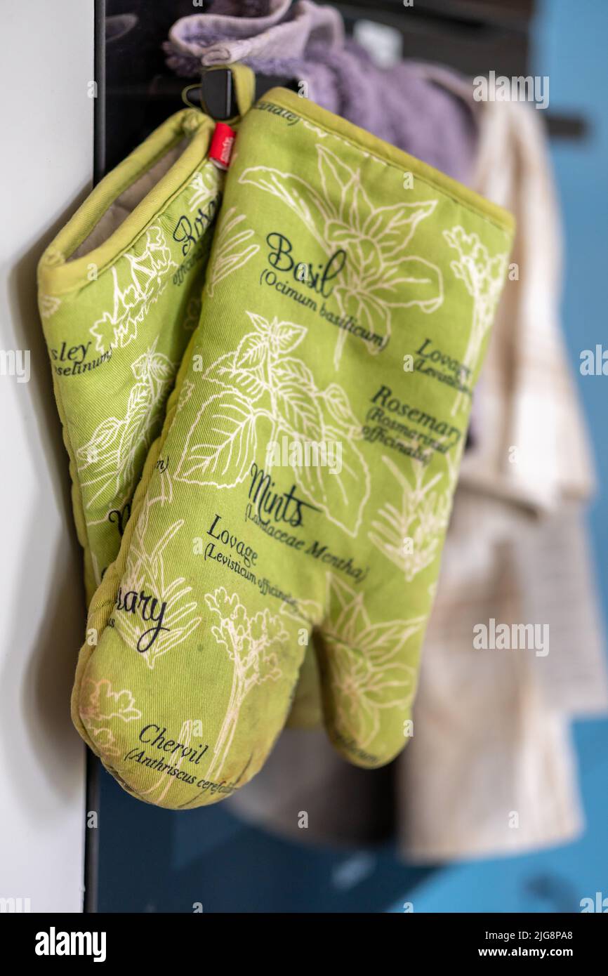 The vertical view of a pair of green oven gloves hanging in the kitchen