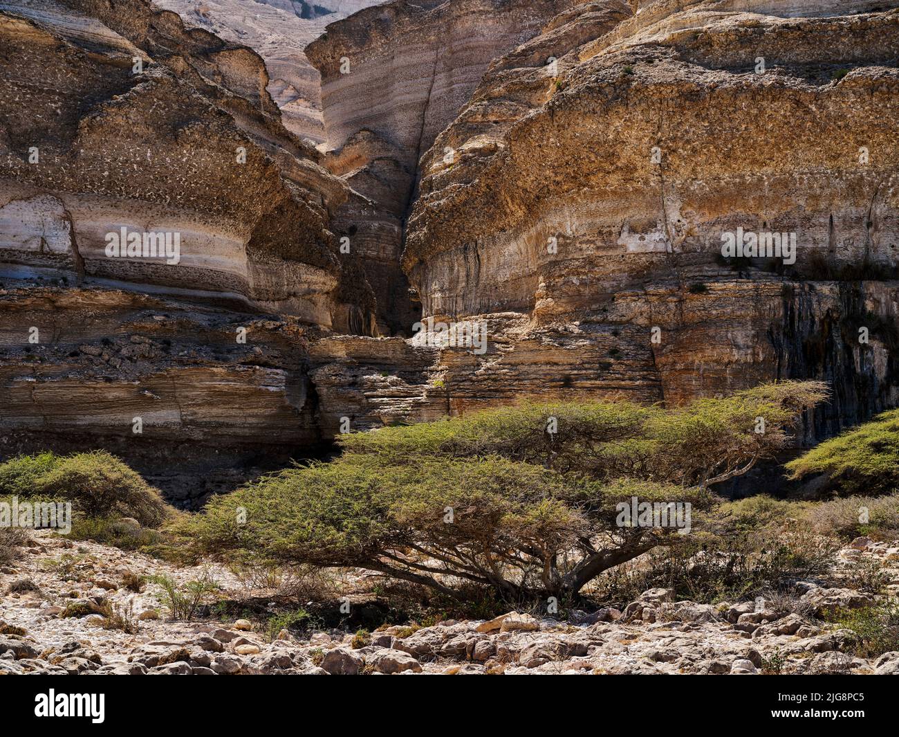 On the coastal road near Hasik, Oman Stock Photo - Alamy