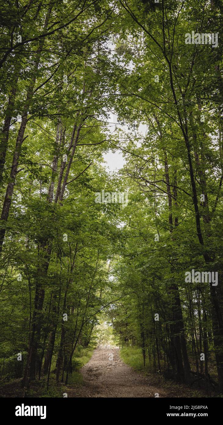 Vertical shot narrow road hi-res stock photography and images - Alamy