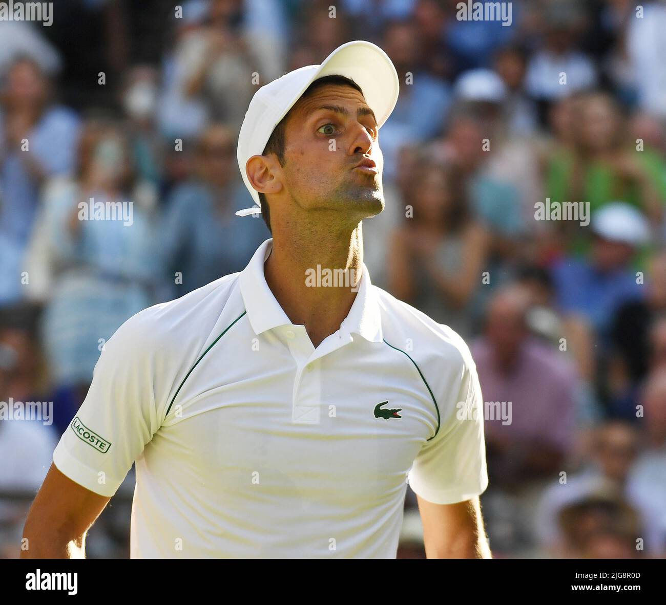 London, Gbr. 08th July, 2022. London Wimbledon Championships Day 08/07/2022 Novak Djokovic (SRB) wins semi-final match and responds to a spectator who had been abusing him beating Cameron Norrie (GBR) Credit: Roger Parker/Alamy Live News Stock Photo