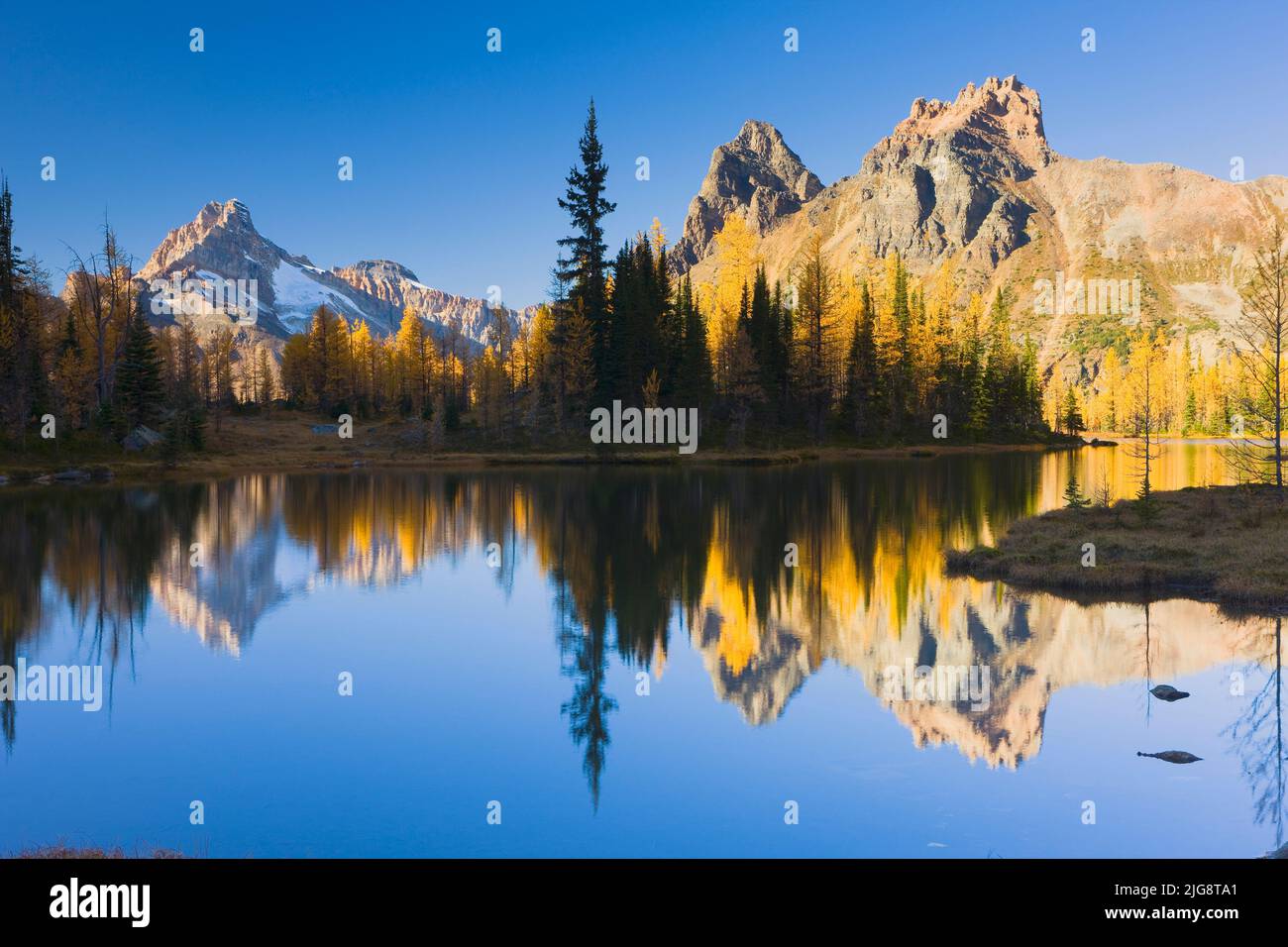 Mount Huber reflected in a small pond, Opabin Plateau, Lake O'Hara, Yoho National Park, British Columbia, Canada Stock Photo