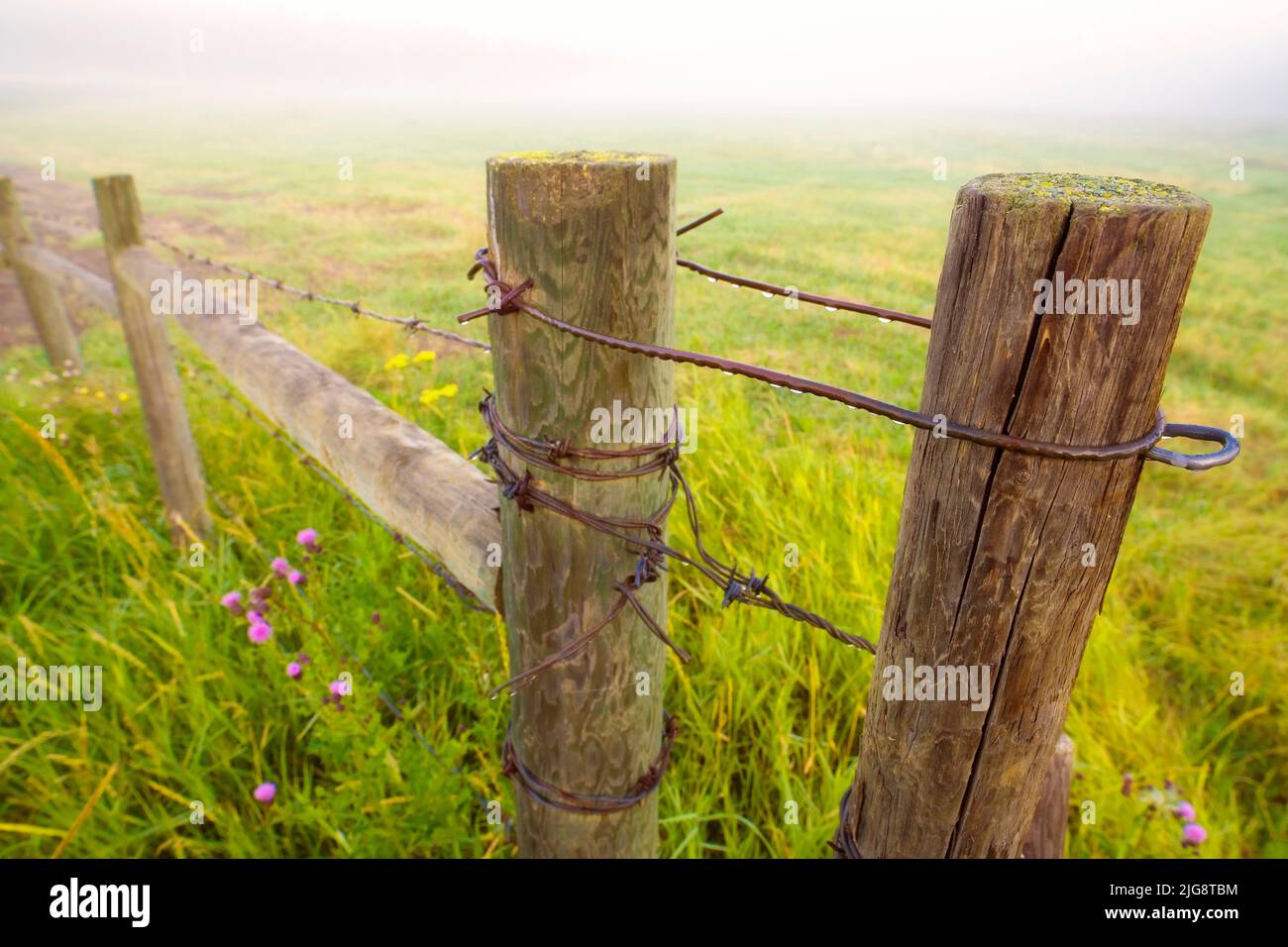 Rolly view alberta hires stock photography and images Alamy