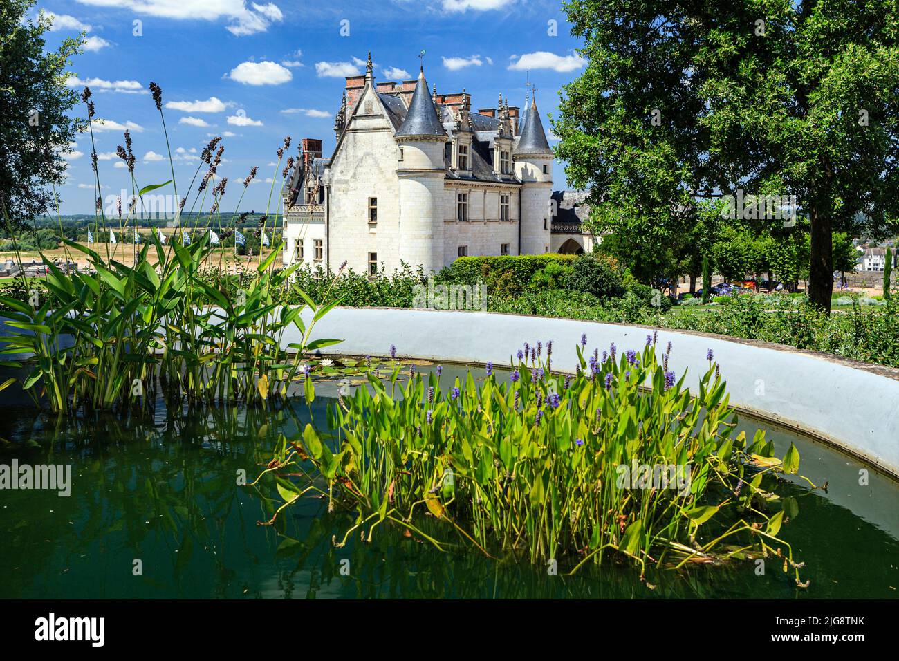 Castle garden from Amboise castle, France Stock Photo Alamy