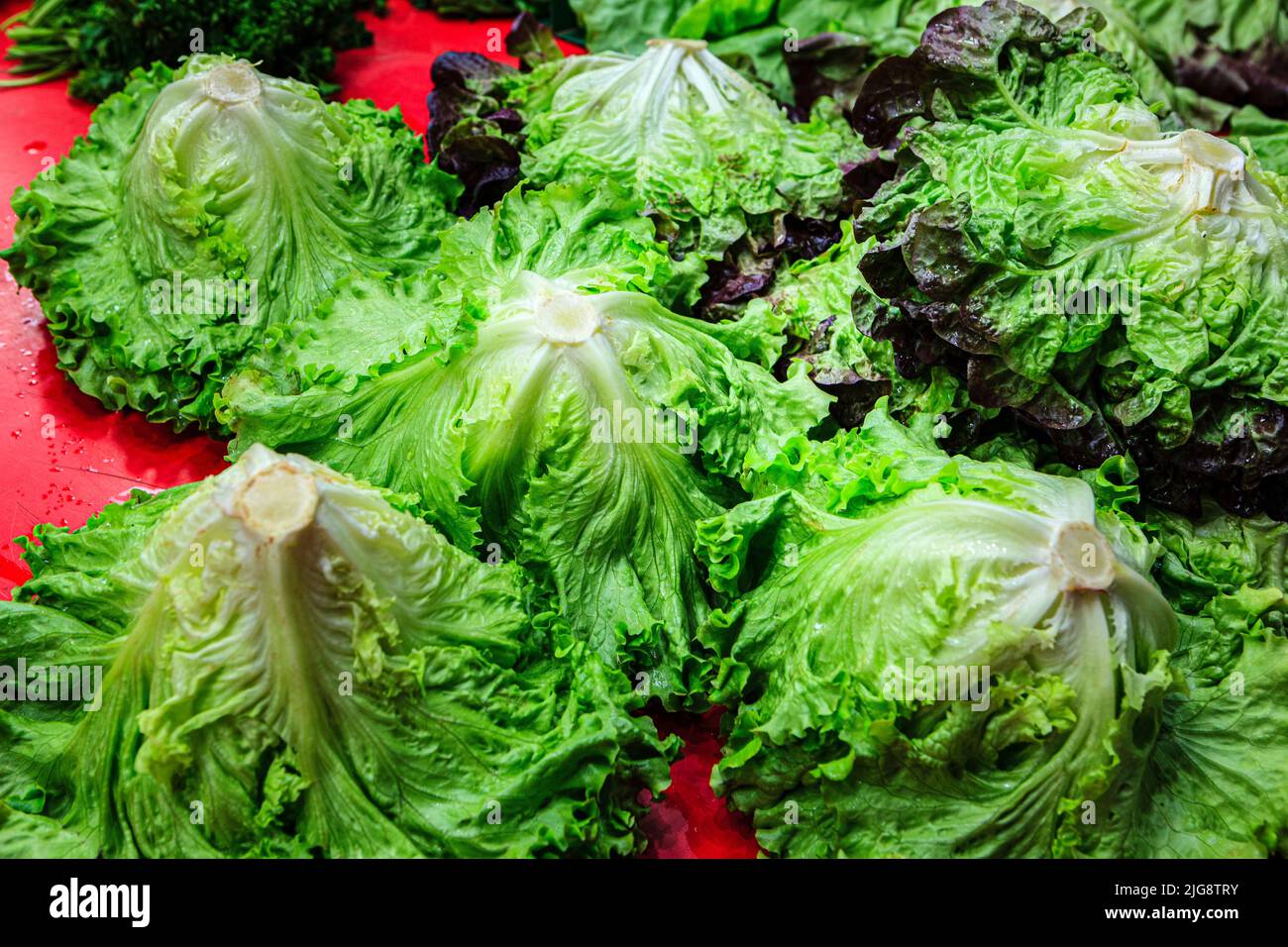 Salad head at the market, Troyes, France Stock Photo Alamy