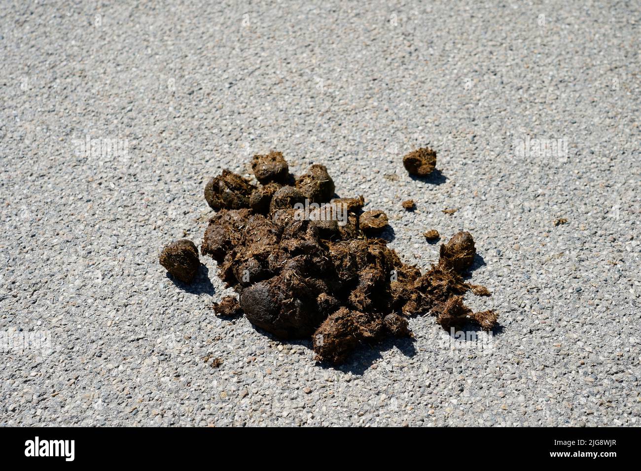 Germany, Bavaria, Upper Bavaria, country road, Altötting district, horse droppings on a country road Stock Photo