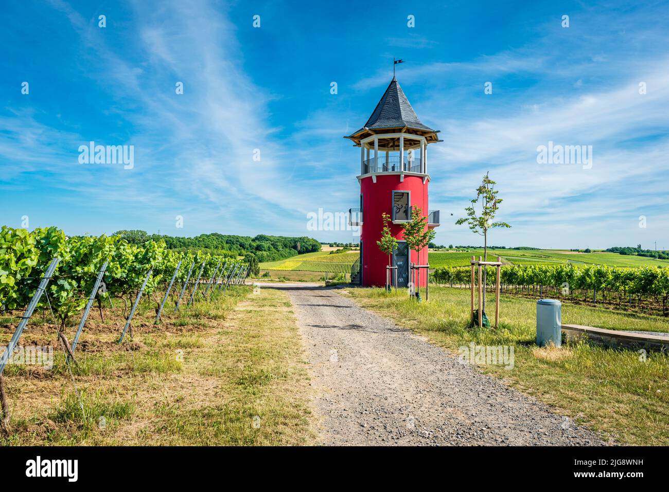 lookout tower, vineyard architecture, vines, viticulture, Burgundy tower, Burgundian architectural style, Hiwweltour Neuborn, sea of vines, Rheinhessen, red, viticulture, vineyard, Wörrstadt Stock Photo