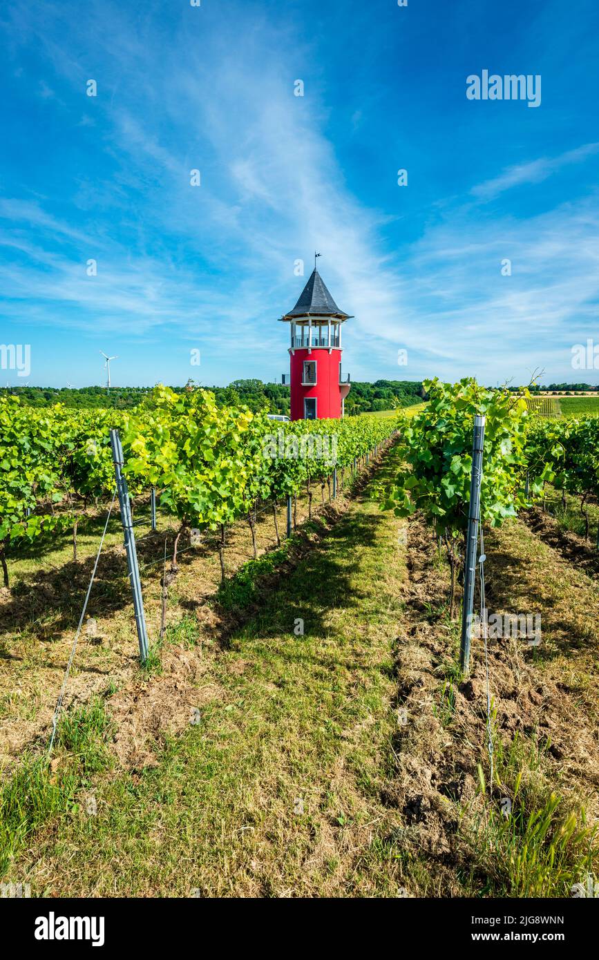 lookout tower, vineyard architecture, vines, viticulture, Burgundy tower, Burgundian architectural style, Hiwweltour Neuborn, sea of vines, Rheinhessen, red, viticulture, vineyard, Wörrstadt Stock Photo