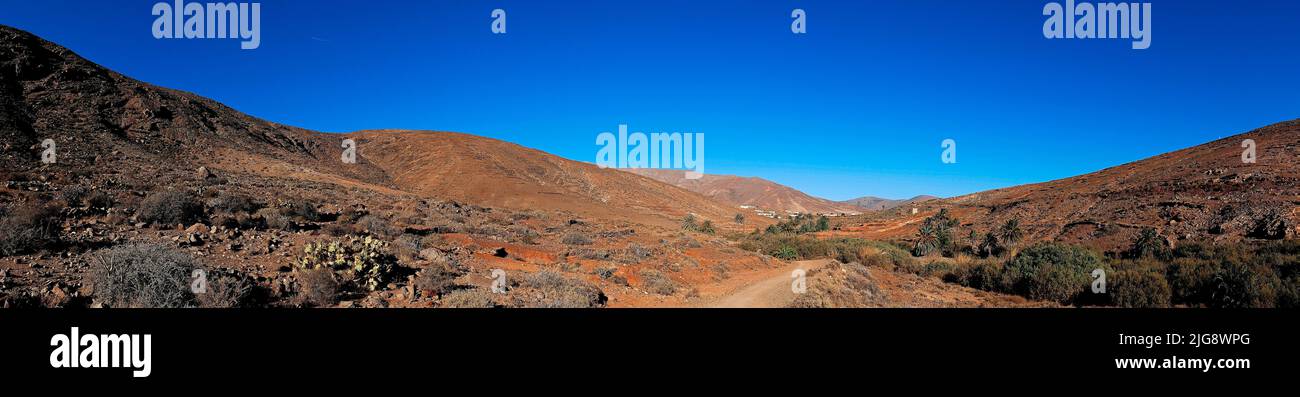 Spain, Canary Islands, Fuerteventura, Barranco de las Penitas, right barranco with palm trees, in the middle non-asphalted path, panorama shot, barren landscape, blue cloudless sky Stock Photo
