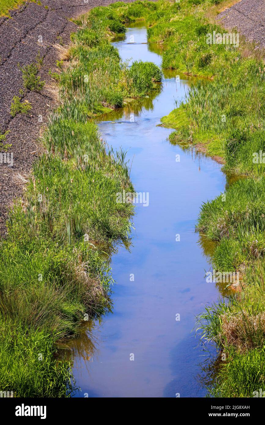 Renaturalized Boye Tributary Of The Emscher Emscher Reconstruction 