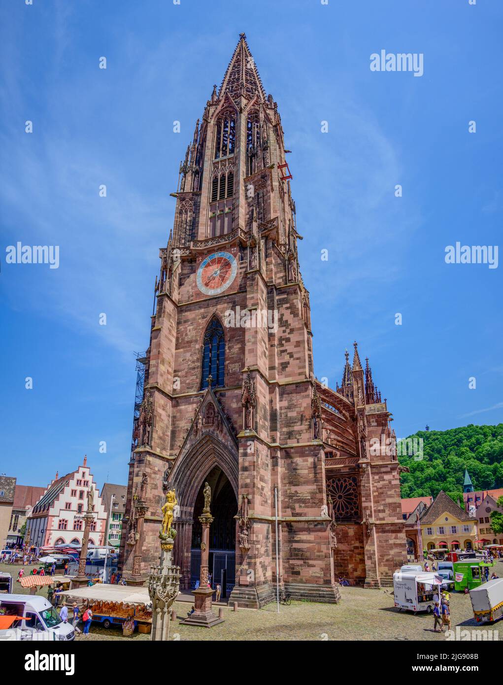 Germany, Baden-Württemberg, Black Forest, Freiburg, the cathedral. Stock Photo