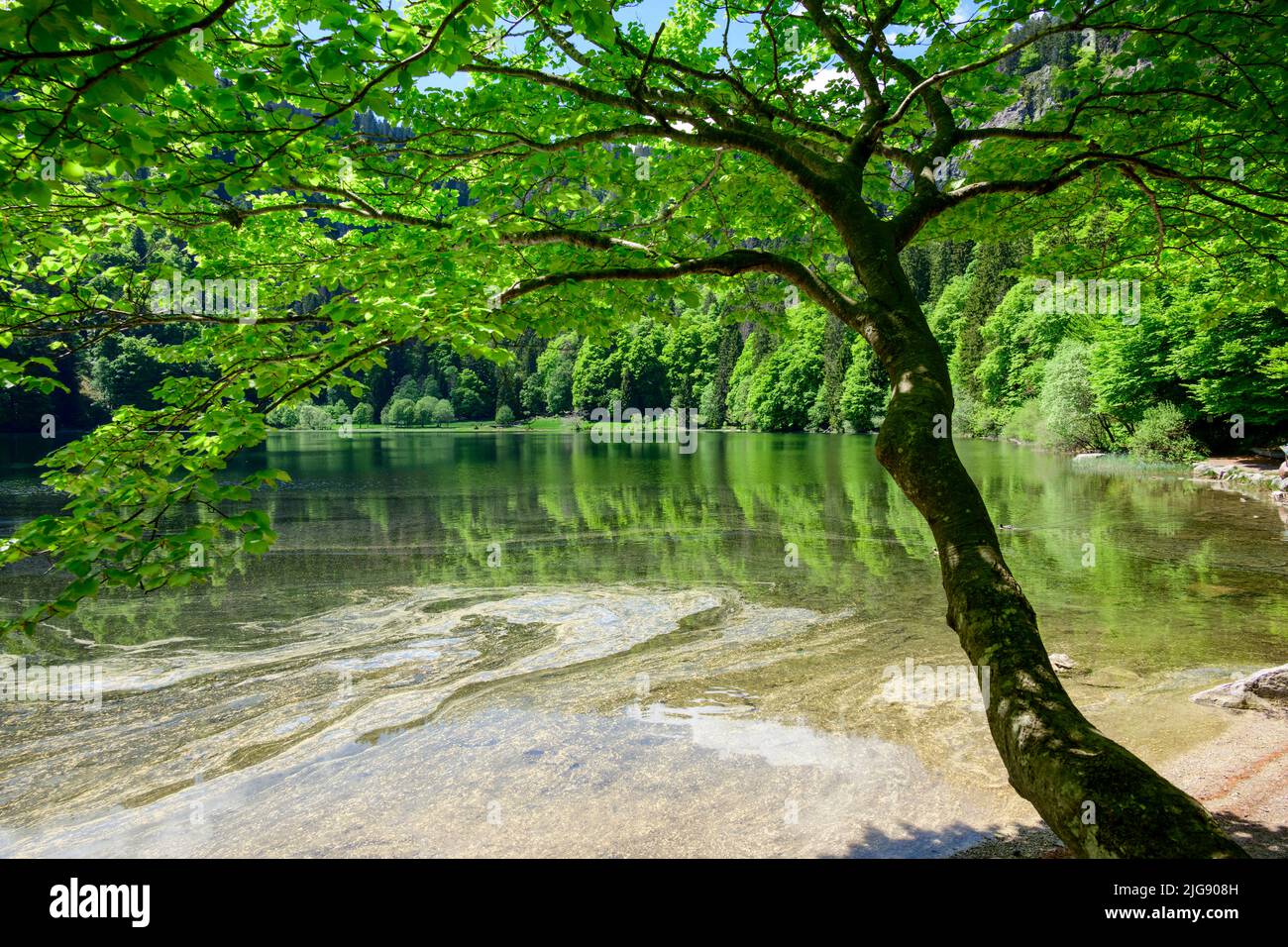 Germany, Baden-Württemberg, Black Forest, Feldberg, the lake Feldsee ...