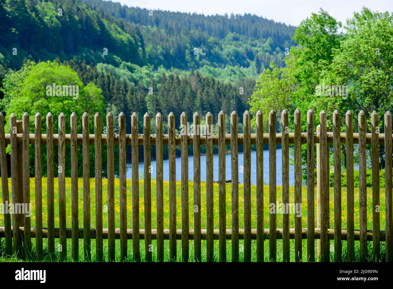 Germany, Baden-Württemberg, Black Forest, Titisee, old wooden picket fence at a meadow. Stock Photo