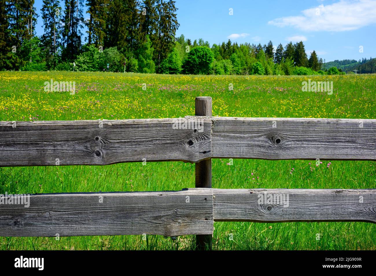 Germany, Baden-Württemberg, Black Forest, Titisee, old wooden picket fence at a meadow. Stock Photo