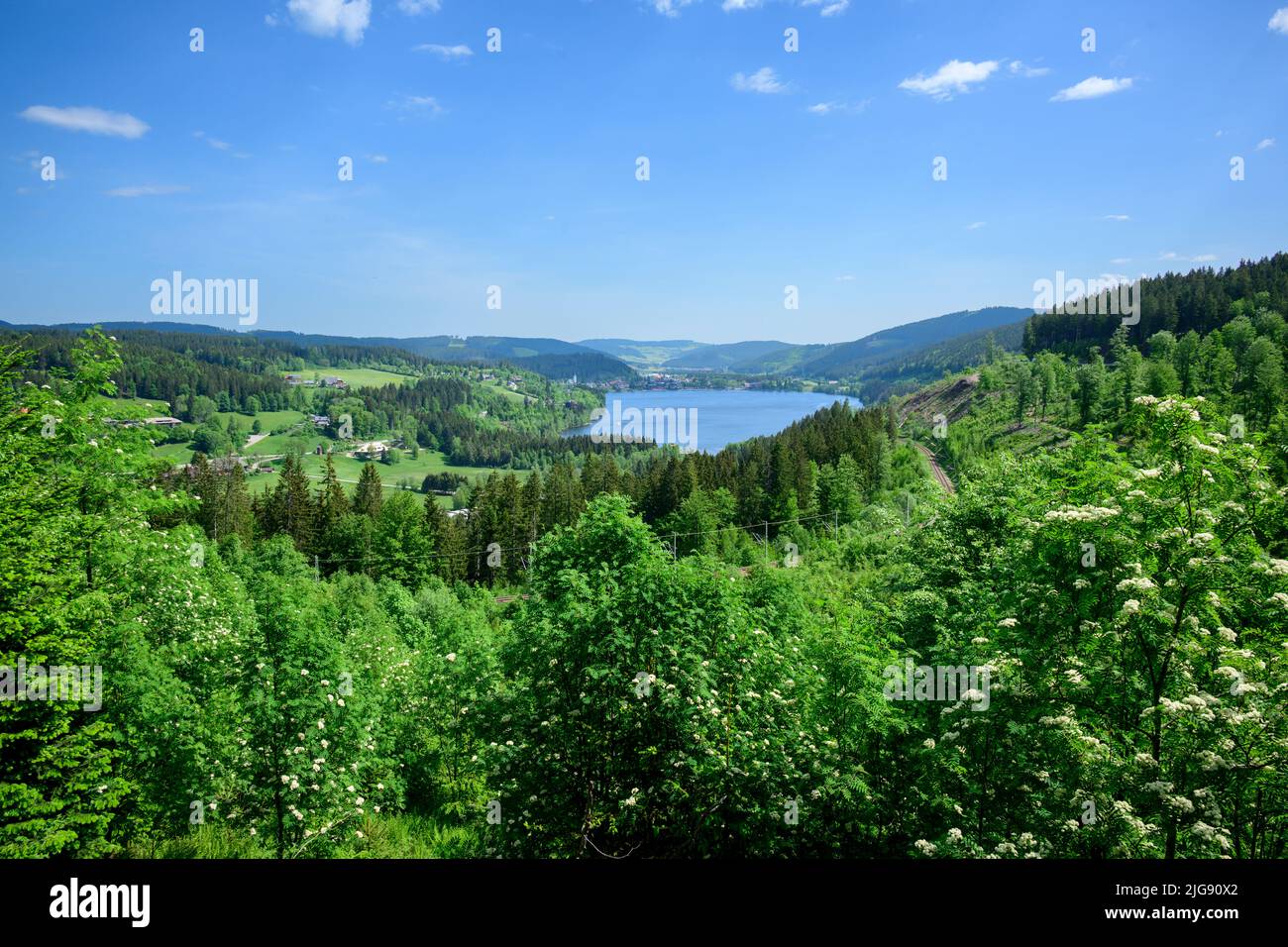 Germany, Baden-Wuerttemberg, Black Forest, Titisee, view of the lake and the village. Stock Photo