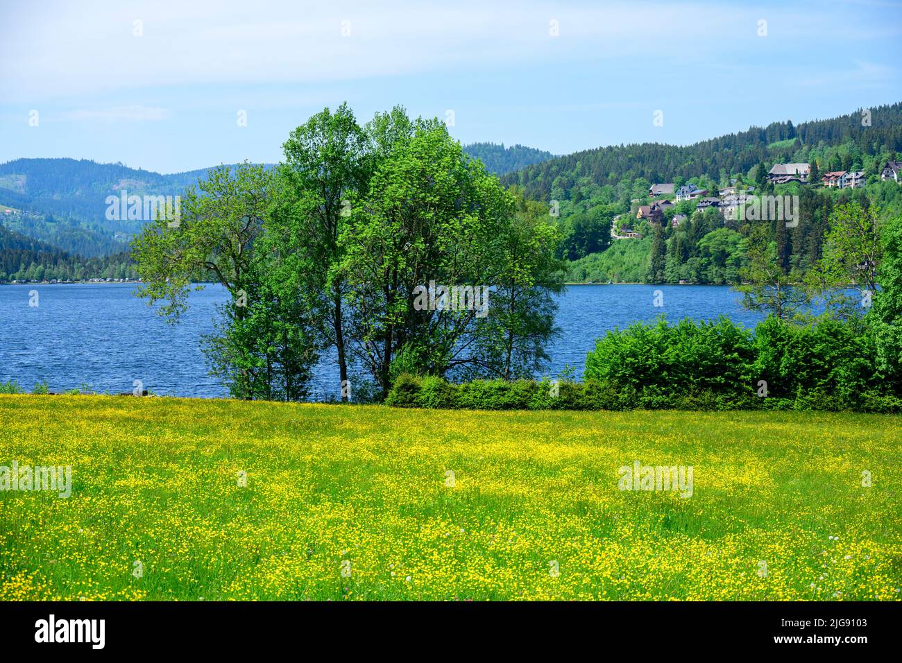 Germany, Baden-Wuerttemberg, Black Forest, Titisee, Wiese am See. Stock Photo