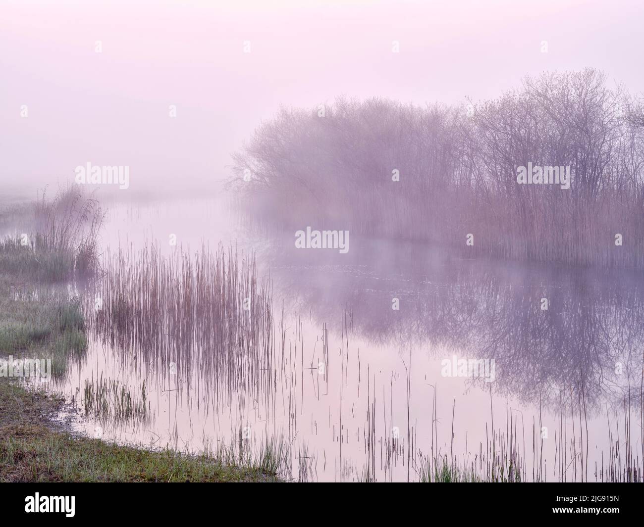 Morning fog in the nature reserve Mertinger Hölle. Stock Photo