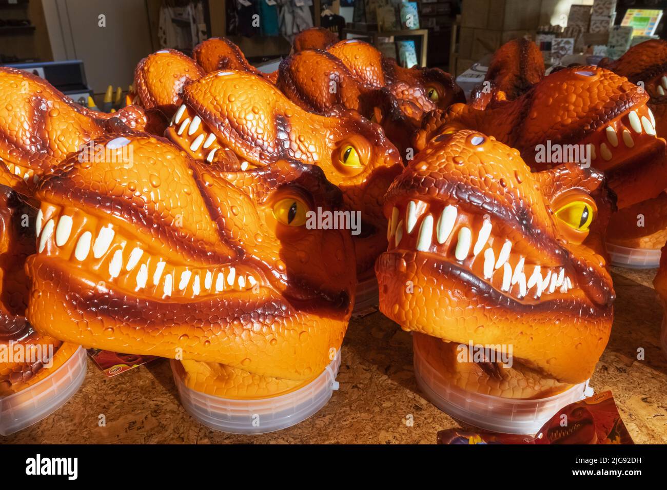 Souvenir shop display of tyrannosaurus rex dinosaur toys hires stock