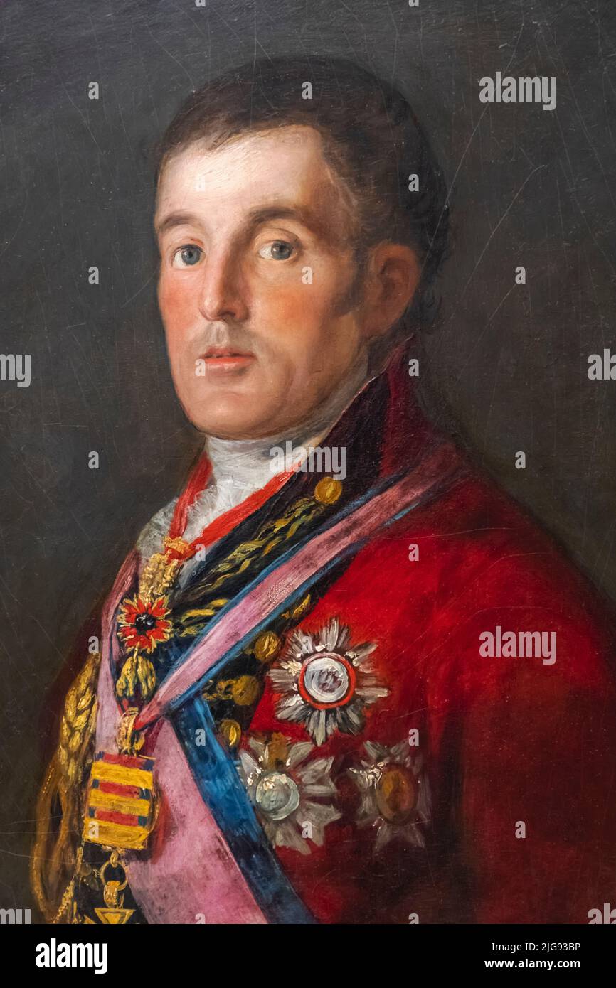 Painting titled 'The Duke of Wellington' by Francisco de Goya dated 1812 Stock Photo
