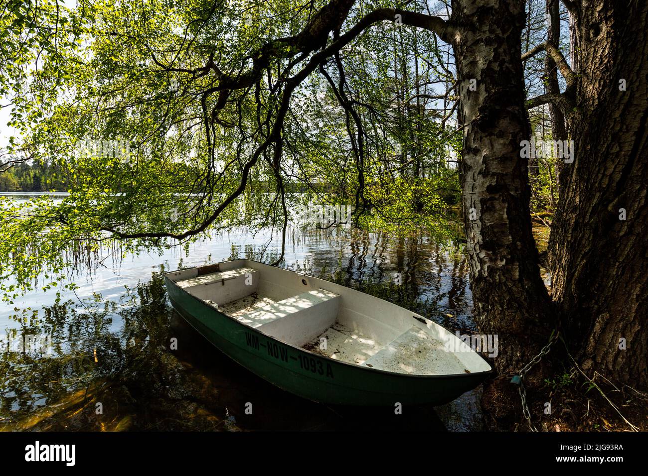 Europe, Poland, Kuyavian-Pomeranian Voivodeship, Brodnica Landscape Park - Jezioro Robotno Stock Photo