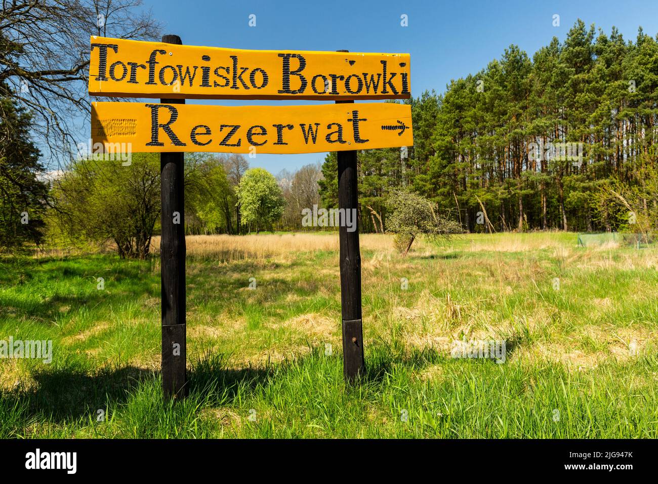 Europe, Poland, Lower Silesia, Przemkow Landscape Park - Torfowisko Borowki Stock Photo
