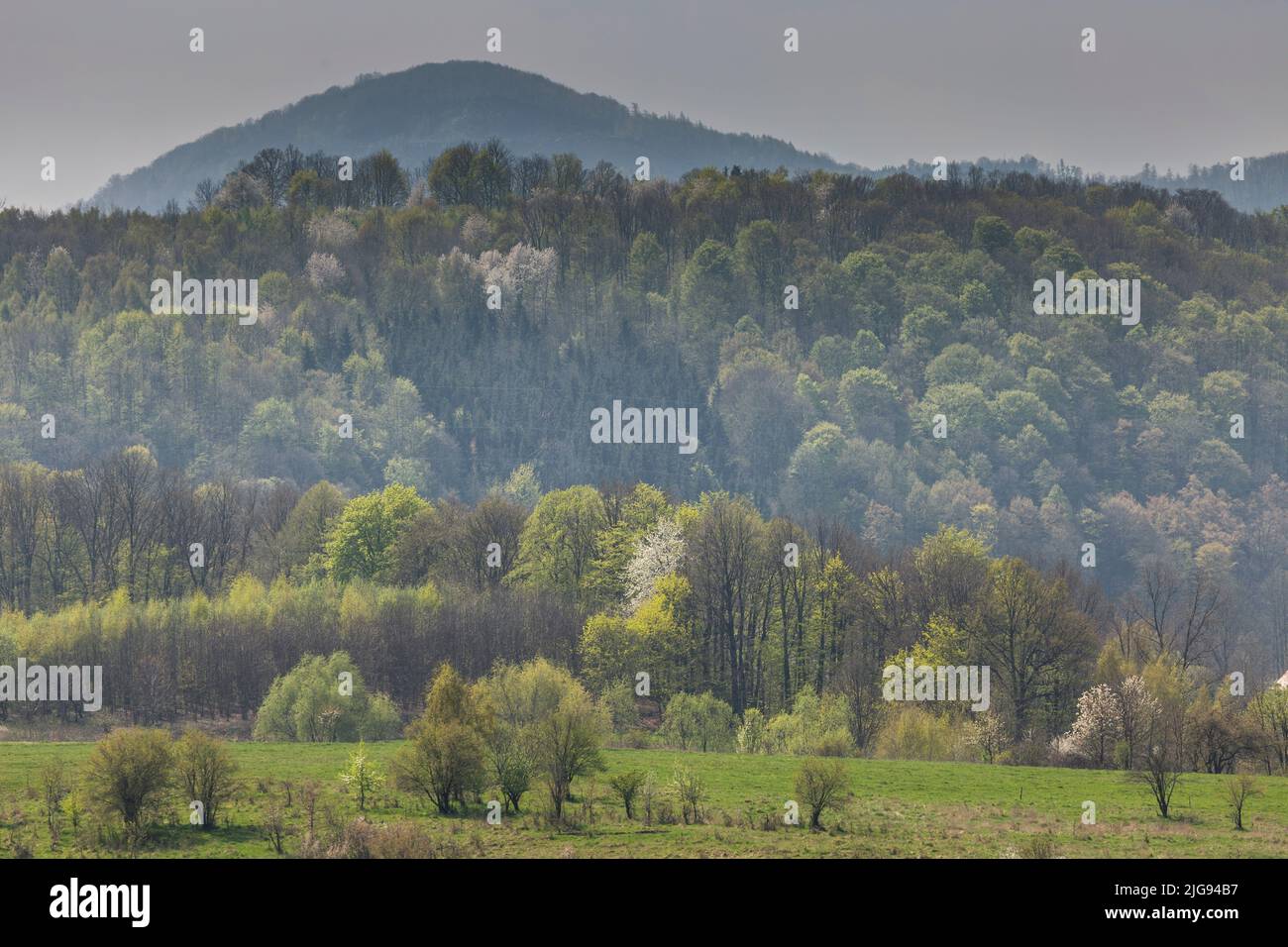 Europe, Poland, Lower Silesia, Kaczawskie Mountains near Swierzawa Stock Photo