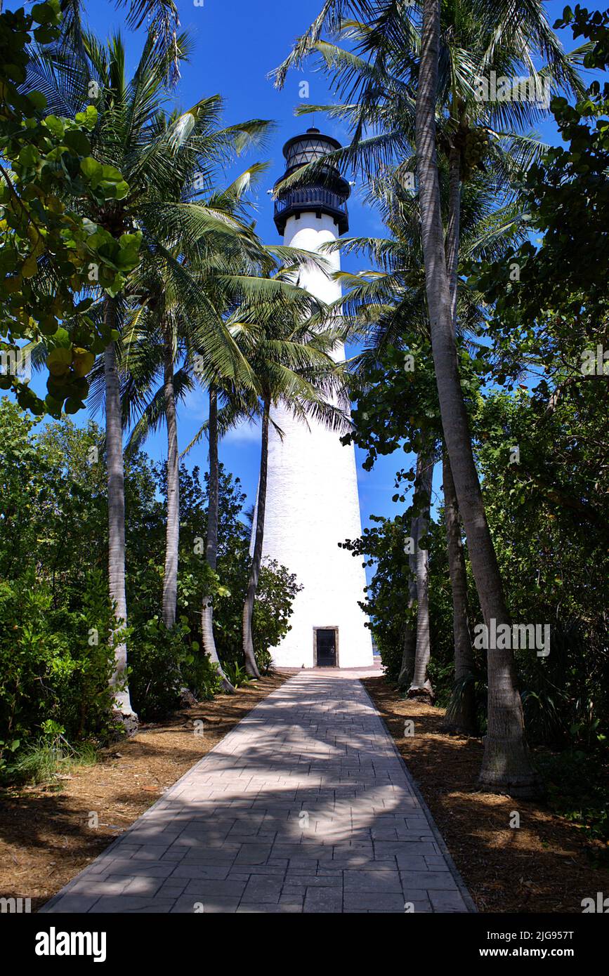 A vertical shot of a pathway between trees and palms leading to a ...