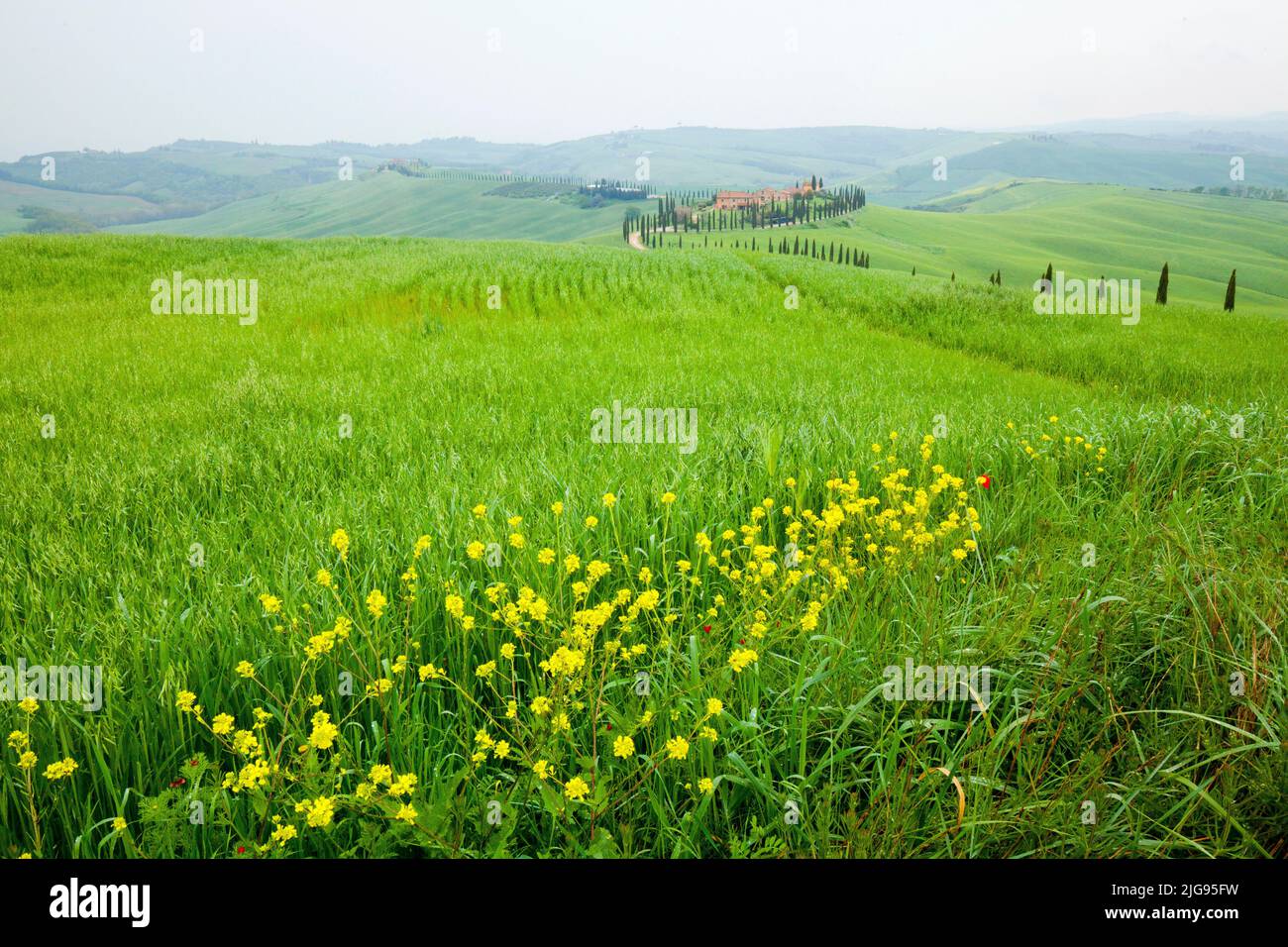 the landscape of the Crete in rainy weather, Siena region Stock Photo