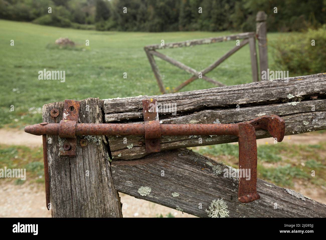 rusted iron bolt on rotten wooden gate, Tuscany, Siena region Stock