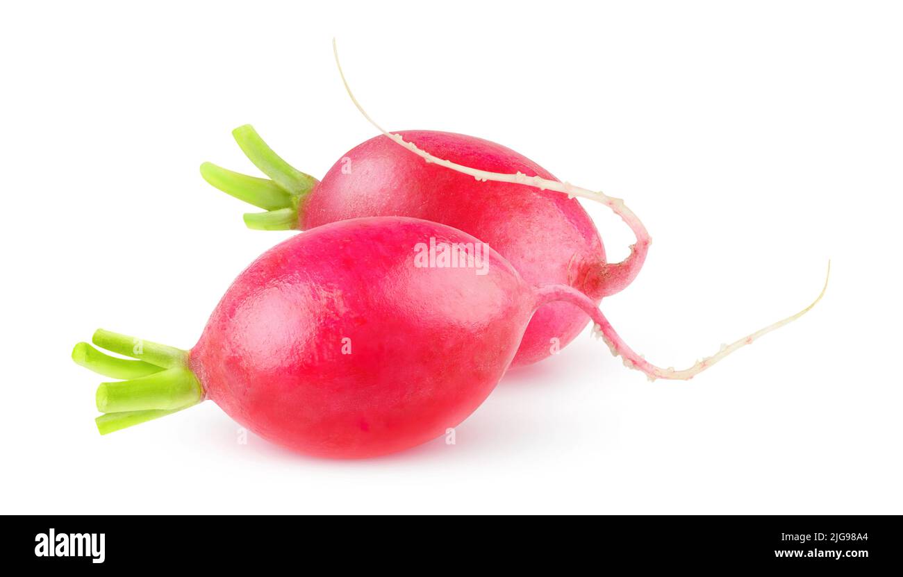 Two raw red radishes isolated on white background Stock Photo
