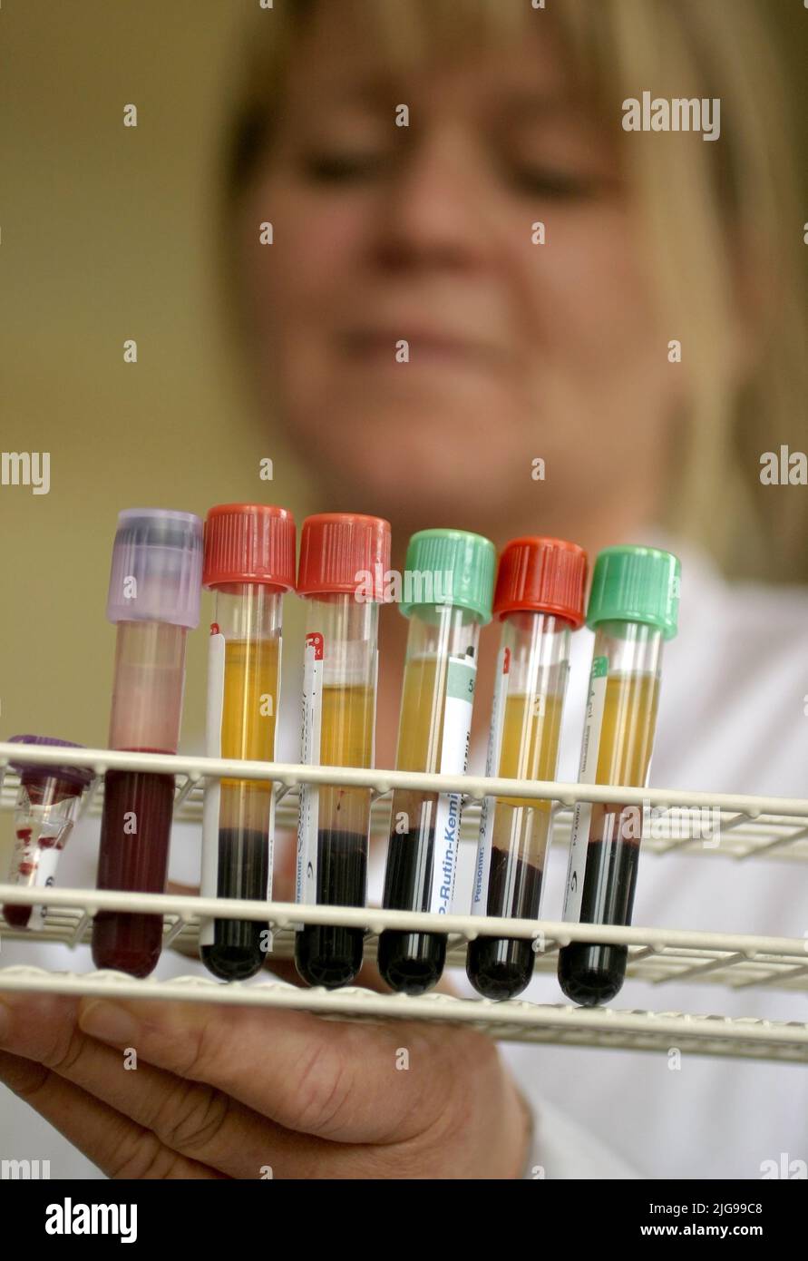 Medical staff with a lot of blood samples, in a laboratory, from