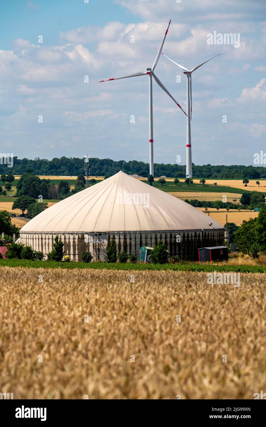 Wind farm northwest of Lichtenau, East Westphalia-Lippe, farm with biogas plant, NRW, Germany, Stock Photo