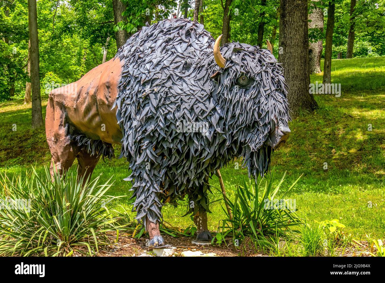 statue of a buffalo bisonb Stock Photo