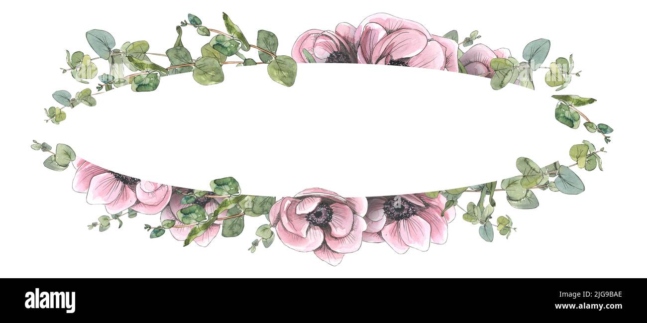 Horizontal oval frame of pink flowers of anemones and eucalyptus twigs. Watercolor illustration with sketch-style graphic elements. A board from a Stock Photo