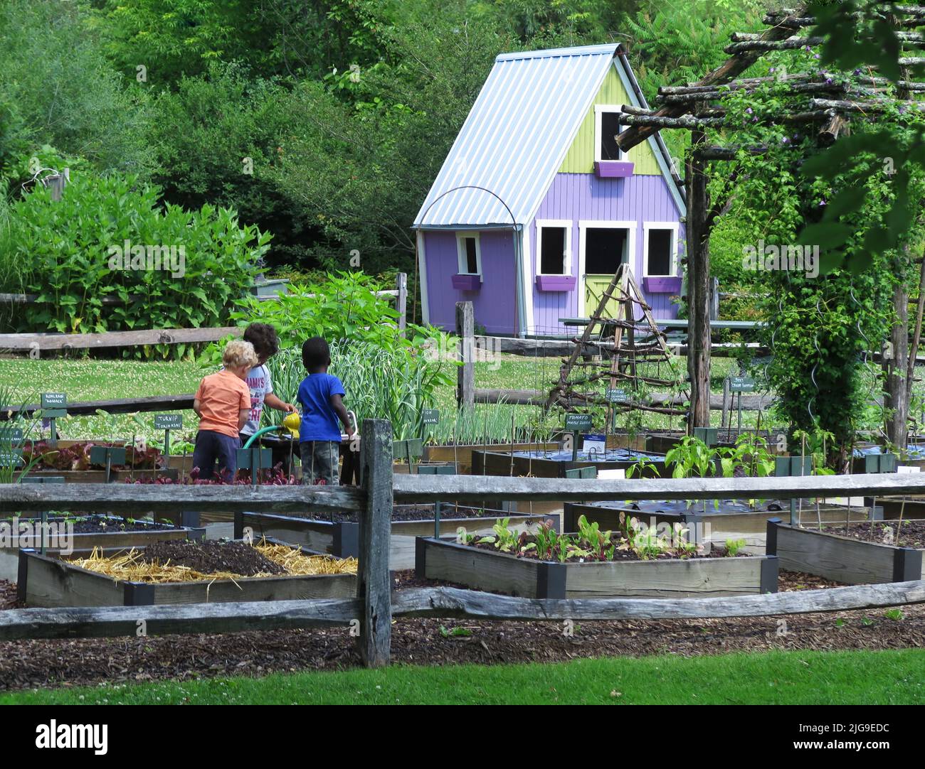 Children in garden setting hi-res stock photography and images - Alamy