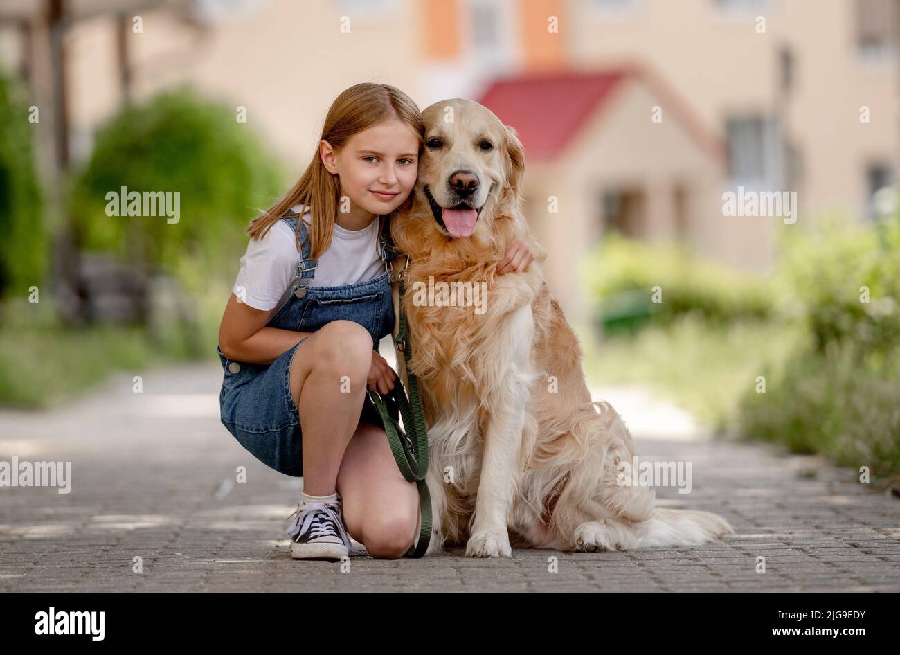 Preteen girl with golden retriever dog Stock Photo - Alamy