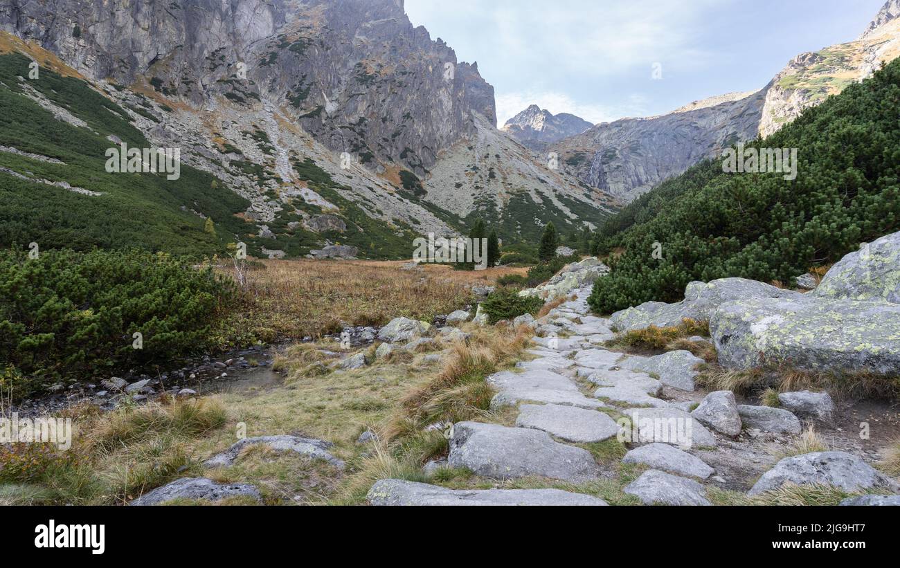Stone pathway leading through beautiful alpine valley surrounded by the mountains, Slovakia, Europe Stock Photo