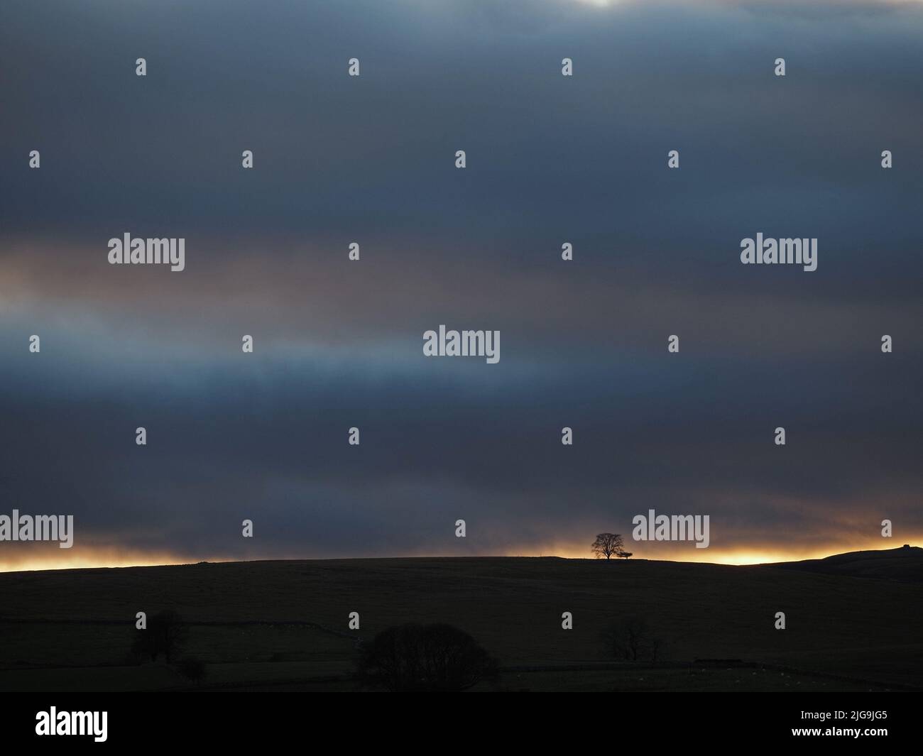 Winter landscape - golden sliver of light illuminates stark tree silhouettes on Cumbrian skyline below brooding blue grey sky at dusk - England, UK Stock Photo