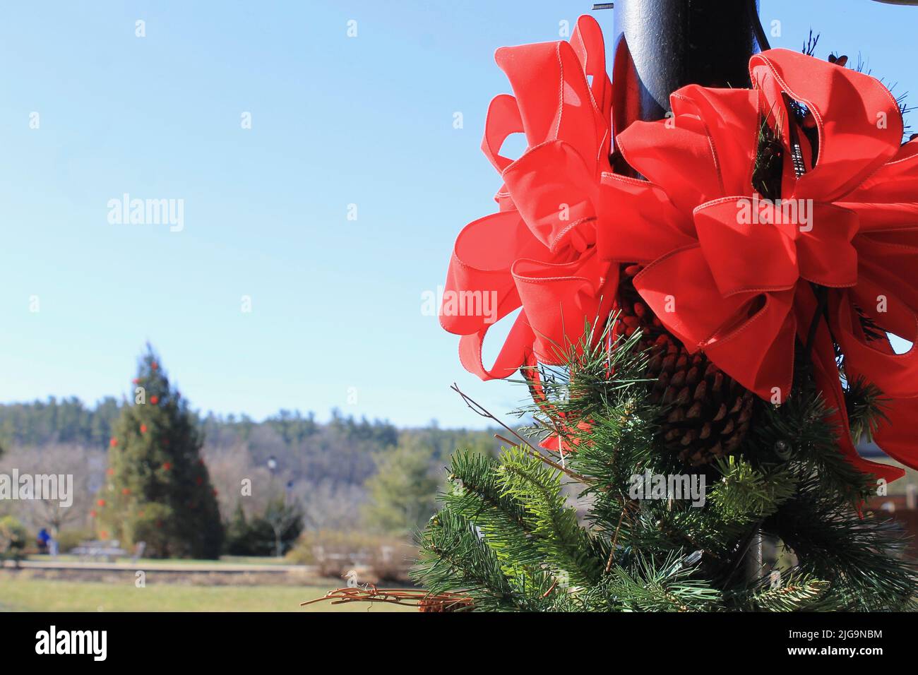 Christmas at Biltmore Village Stock Photo