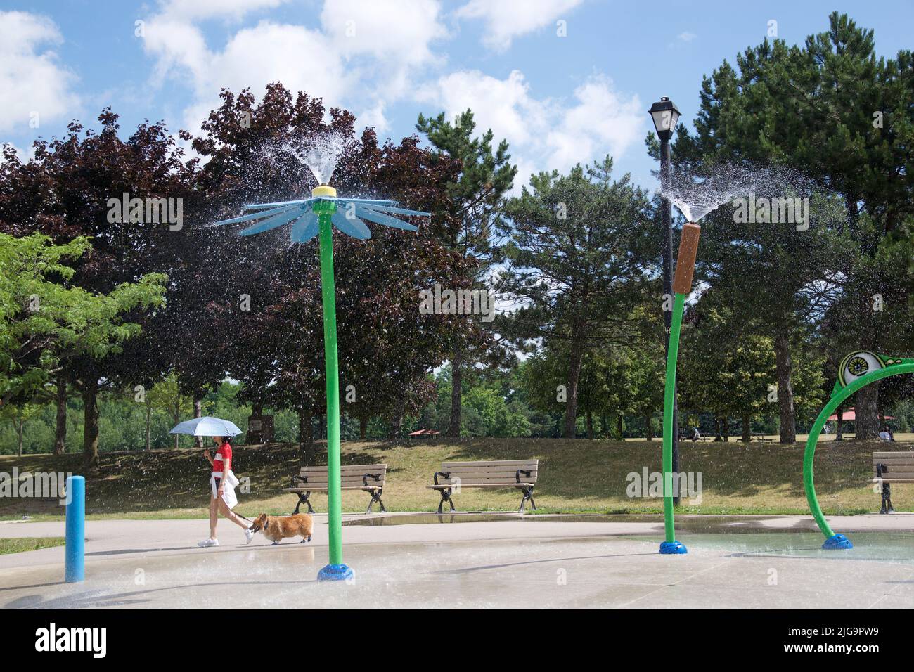 Woman walking the dog on a hot summer day in a spray park Stock Photo