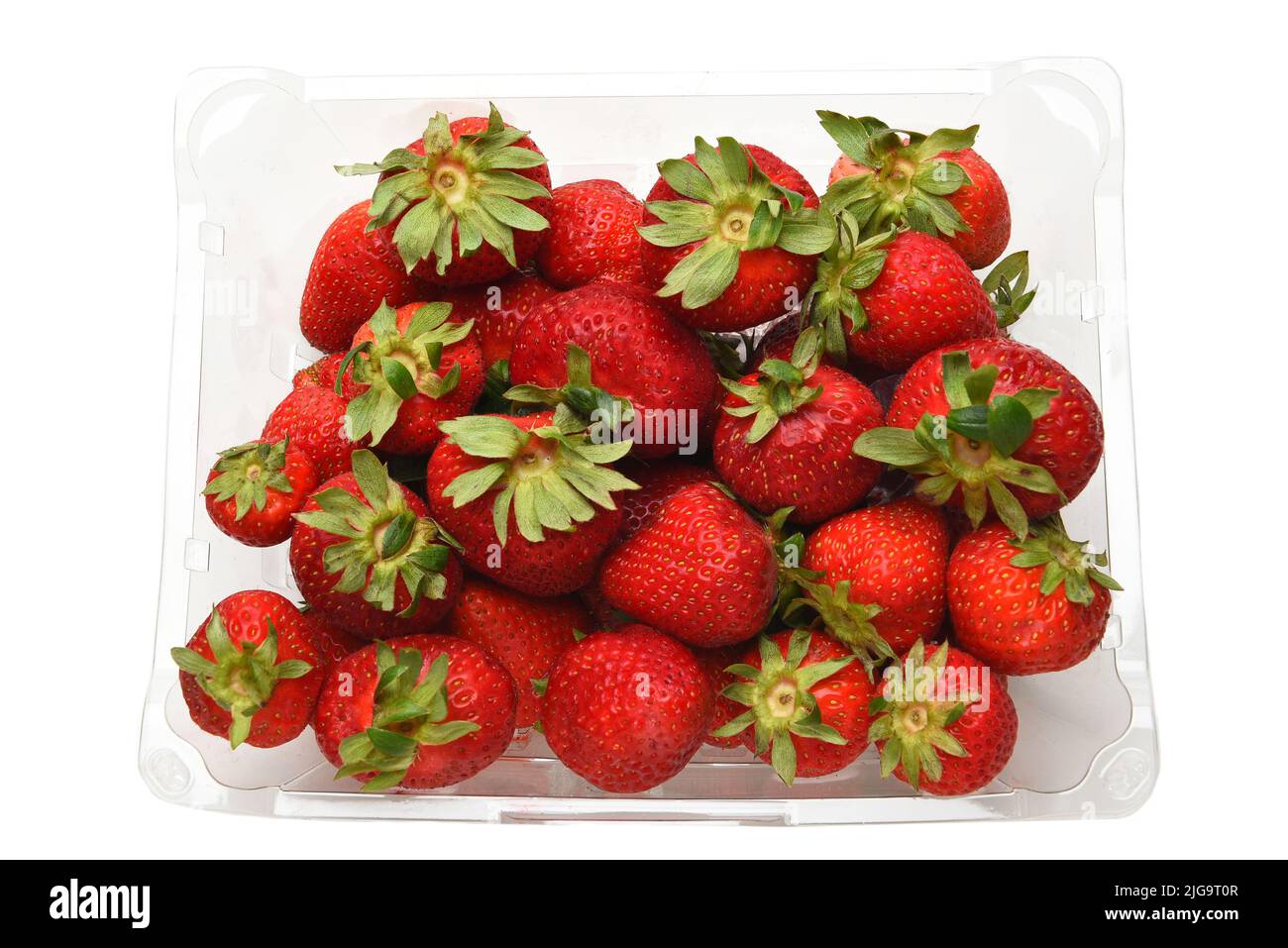 Overhead shot of a plastic clamshell full of fresh ripe strawberries Stock Photo