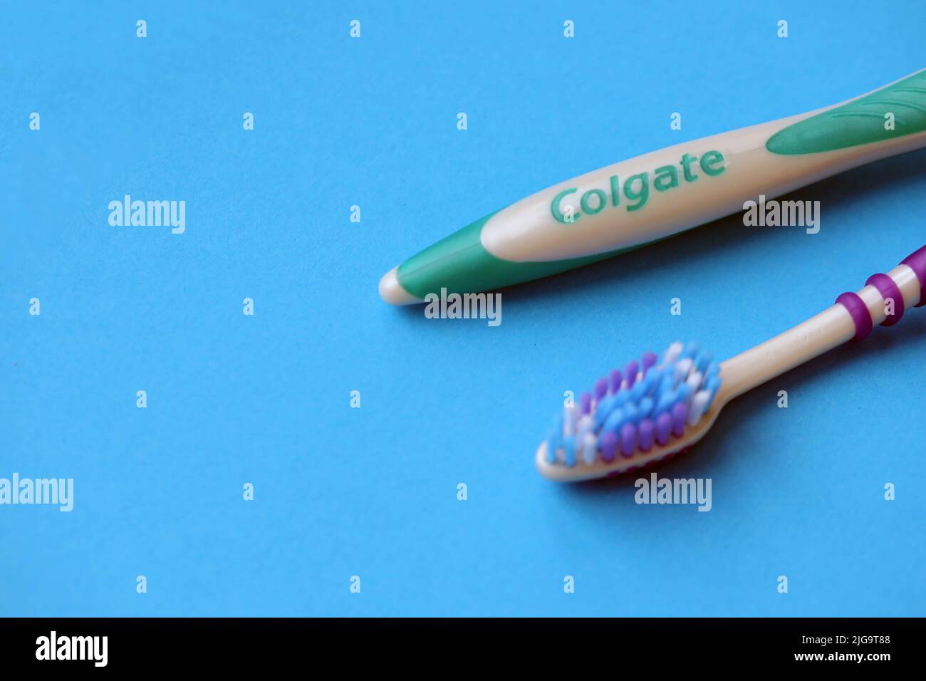 TERNOPIL, UKRAINE JUNE 23, 2022 Colgate toothbrushes, a brand of
