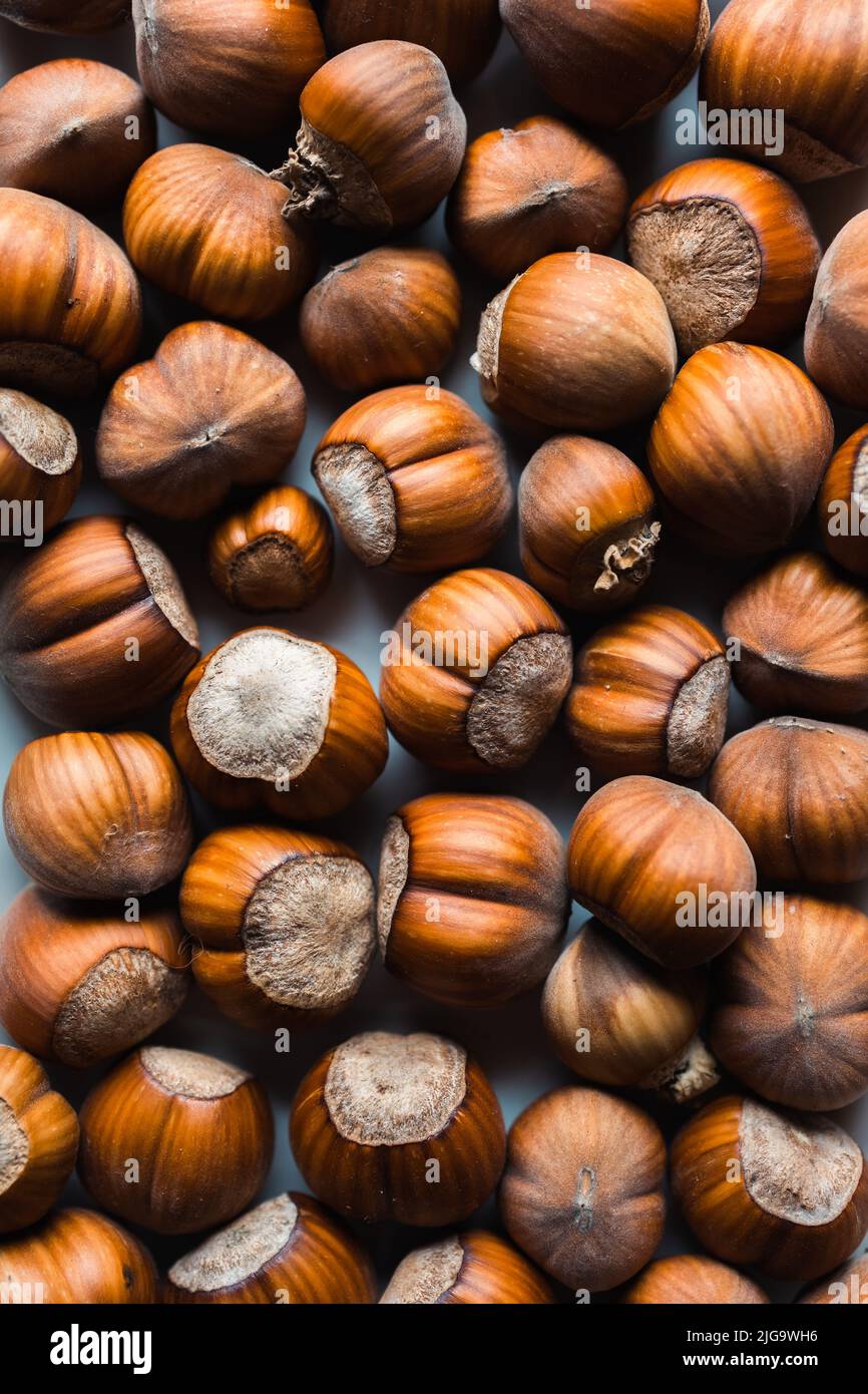 Background of european hazelnut. Corylus avellana texture. Selective focus. Vertical Stock Photo